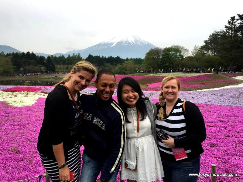 Fuji Shibazakura Festival & Winery Tour