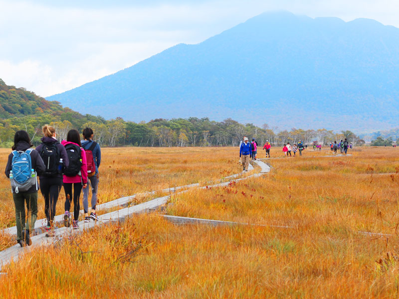 Oze Autumn Hike