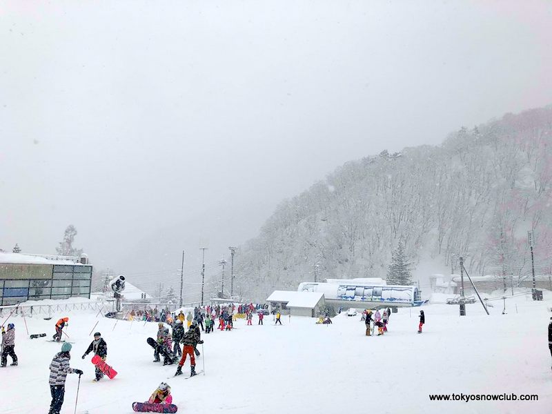 Hakuba Powder Weekend (Goryu & 47)