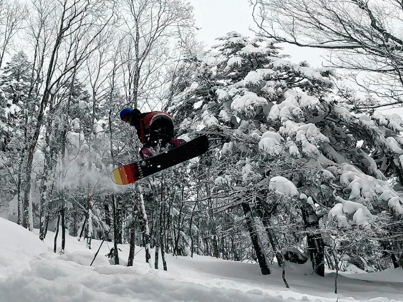 Shiga Kogen Snow Monkey Powder Long Weekend