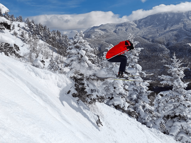 Shiga Kogen Snow Monkey Powder Weekend