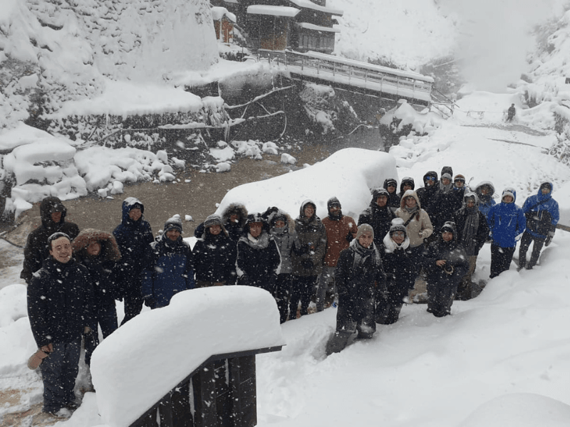 Shiga Kogen Snow Monkey Powder Weekend